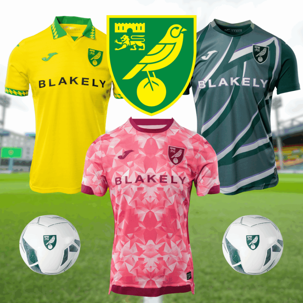 ALL 3 NEW NORWICH SHIRTS FOR A FAMILY OF 4, 12 SHIRTS TOTAL!