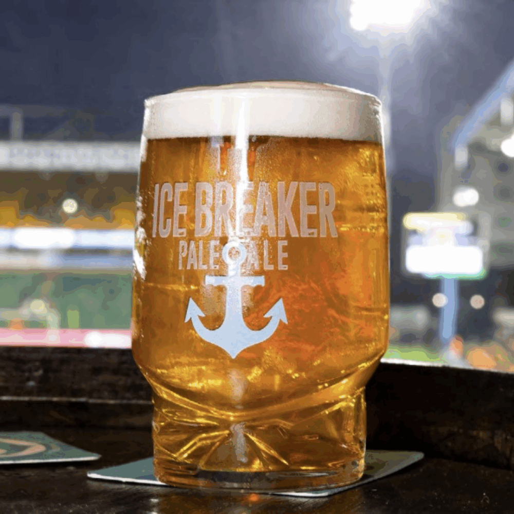 FREE ENTRY - WIN THE ICE BREAKER HOSPITALITY BOX FOR NORWICH VS LEICESTER! - Image 4